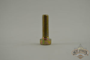 2984Y Genuine Buell Fork Screw 97-02 M2 Cyclone (B4F) Suspension
