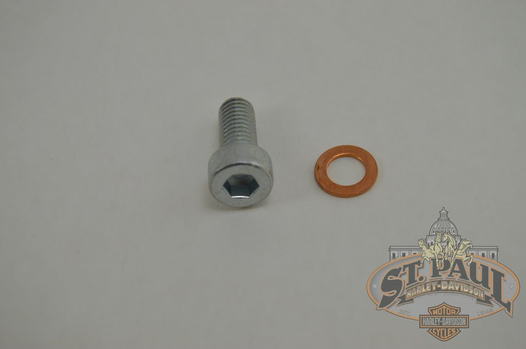 J8132 T Genuine Buell Center Bolt With Washer 2000 2010 Blast P3 B3Q Suspension
