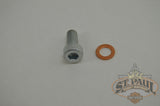 J8132 T Genuine Buell Center Bolt With Washer 2000 2010 Blast P3 B3Q Suspension