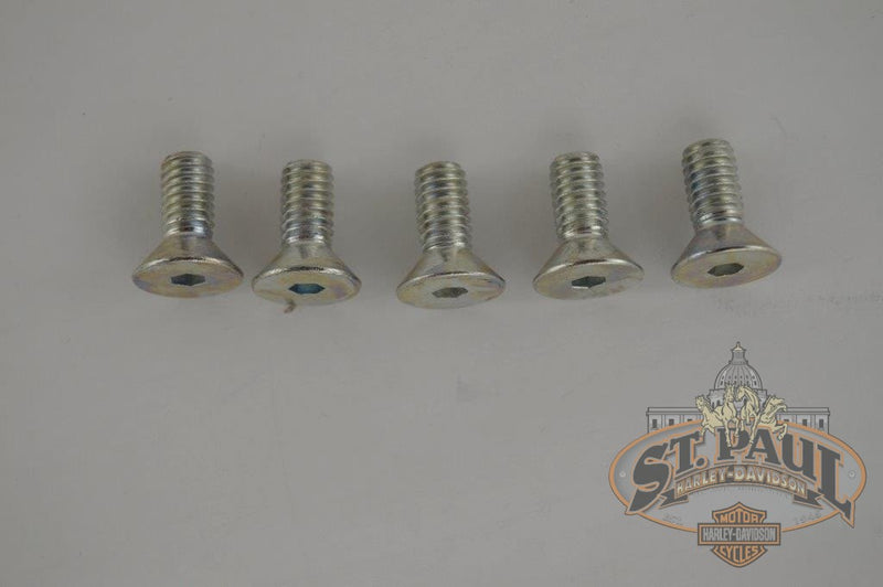 AA0506.5CZ x5 Genuine Buell Front Brake Rotor Bolts 95-99 S2