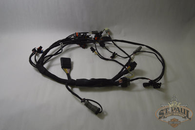 Y0461.2Am Genuine Buell Main Wiring Harness 2009-2010 1125 Models Electrical