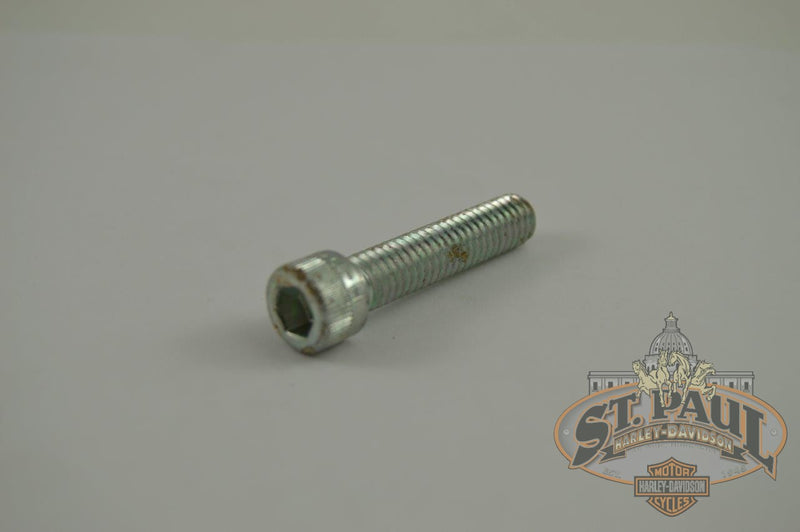 スラッパSS Jake Bullock スラッパSS Jake Bullock Limited Edition Spring Break Jake